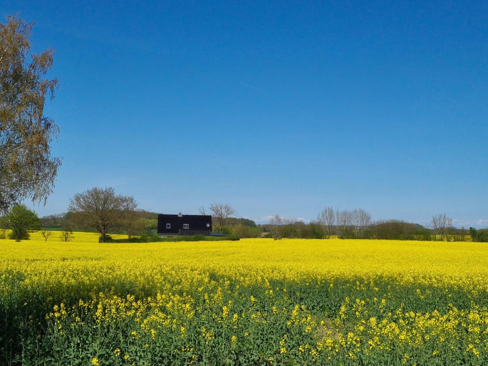 Ferienhaus Loimoos Schnarup-Thumby Esterno foto